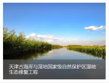 天津古海岸与湿地国家级自然保护区湿地生态修复施工