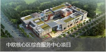 中欧核心区综合配合中心课题